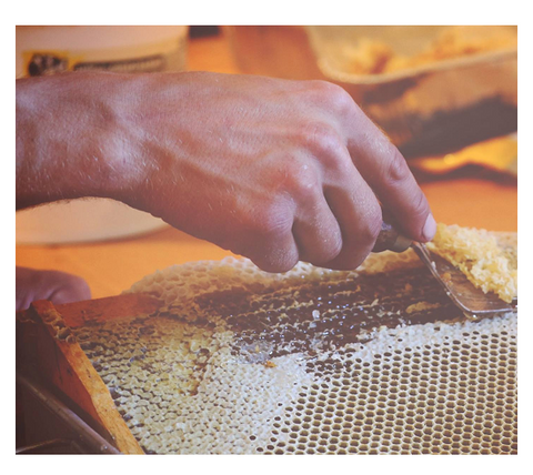 Honey - Harvest Haven