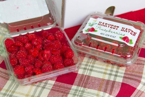 Raspberries - Harvest Haven